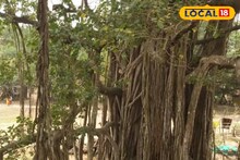 বয়স পেরিয়েছে ৫০০ বছর! গোরাতলার পবিত্র বটগাছের ইতিহাস আজও অনেকের অজানা