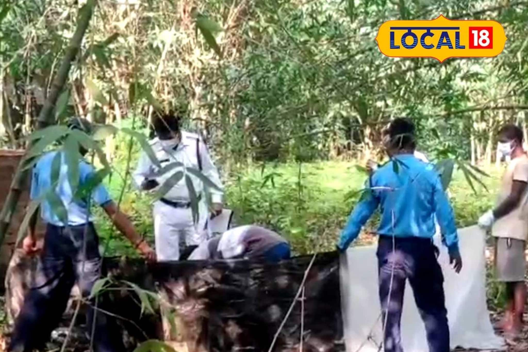 বাঁশ বাগানে 'ওটা' কী? কাছে যেতেই শিউড়ে ওঠার মতো দৃশ্য! চন্দননগরে চাঞ্চল্য