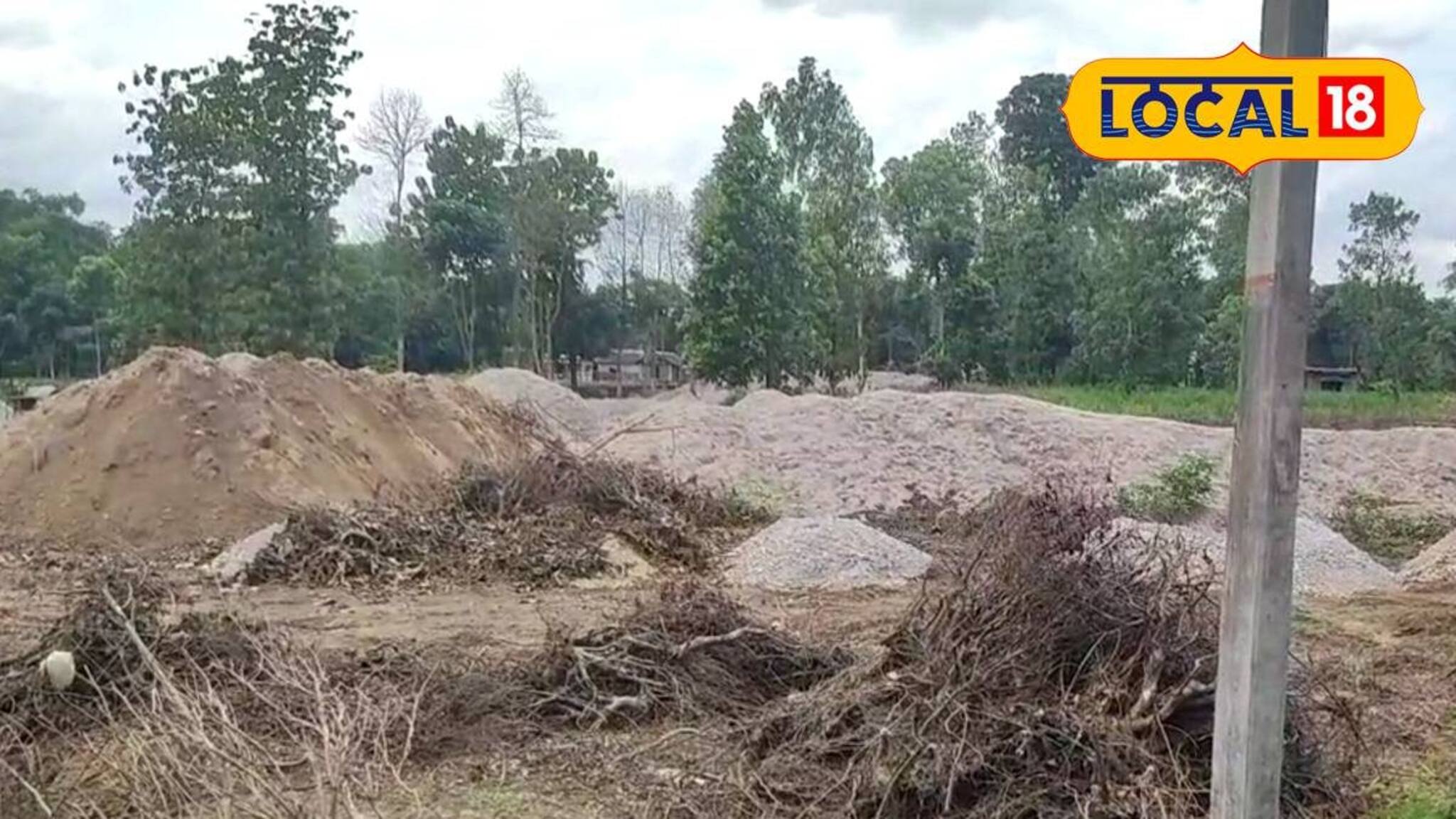 জমি ফাঁকা চাই, অনুমতি ছাড়াই একের পর এক গাছে কোপ! কী বলছে বন দফতর?