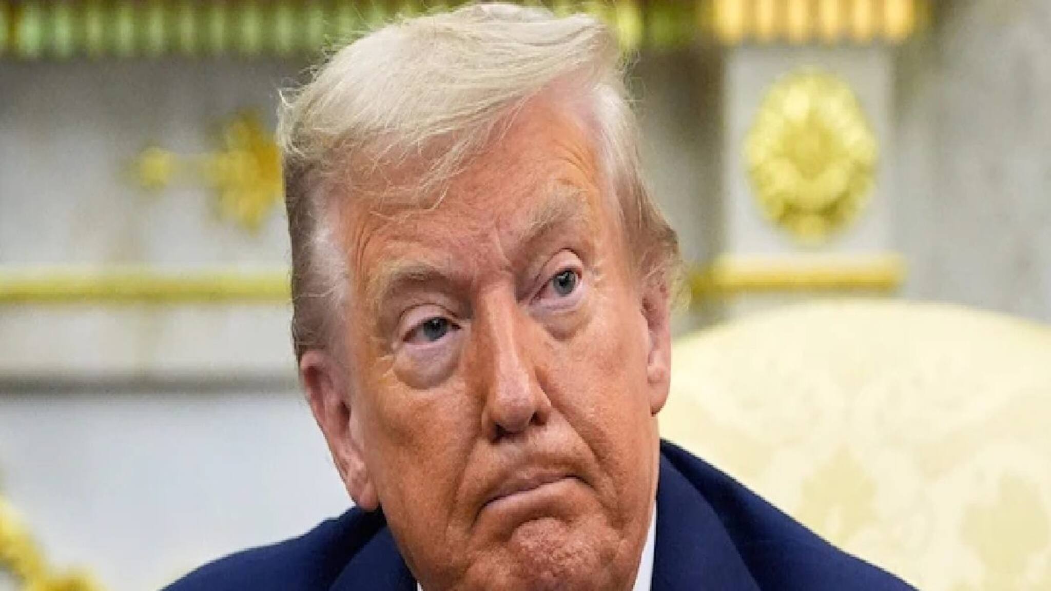 New York Mayor Election: শুধু নিউ ইয়র্ক নয়, আমেরিকায় দিকে দিকে শোচনীয় হার ট্রাম্পের প্রার্থীদের! ভার্জিনিয়া এবং নিউ জার্সিতেও পরাজয়