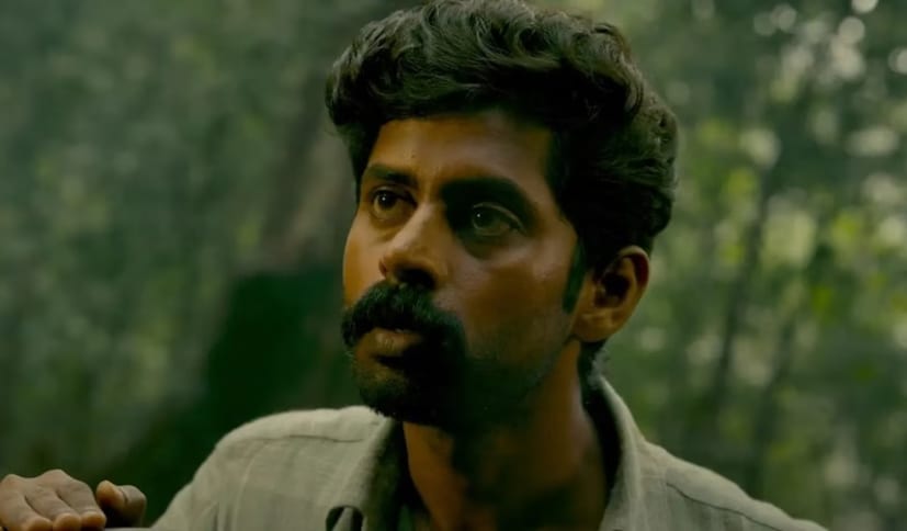 অতএব, কাথিরের অভিনয় যাঁরা পছন্দ করেন, মিশা নিঃসন্দেহে তাঁদের জন্য নতুন কিছু নিয়ে আসতে চলেছে। এই প্রসঙ্গে ছবির কাহিনীসূত্র নিয়েও সামান্য হলেও ইঙ্গিত দিতেই হয়। এর উপরে নির্ভর করেও যে অনেক দর্শক ছবি দেখার সিদ্ধান্ত নিয়ে থাকেন! একটি সাধারণ অ্যাকশন থ্রিলার হওয়ার পরিবর্তে মিশা বন্ধুত্ব, অহঙ্কার, রাজনীতি এবং শ্রেণী সংগ্রামকে একটি নতুন দৃষ্টিকোণ থেকে দেখেছে। পরিচালক এমসি জোসেফ এমন একটি রোমাঞ্চকর চিত্রনাট্য লিখেছেন যেখানে উচ্চাকাঙ্ক্ষা এবং ঈর্ষার প্রভাব কীভাবে বন্ধুত্বের উপর পড়ে সেই বিষয়ে আলোকপাত করা হয়েছে।