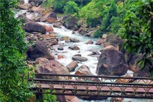 Alipurduar: পুজোর ছুটিতে জলদাপাড়ায় জঙ্গল সাফারিতে যাচ্ছেন? নতুন 'এই' নিয়ম না জানলে বিরাট বিপদে পড়বেন