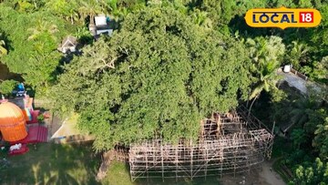 আমাজনের