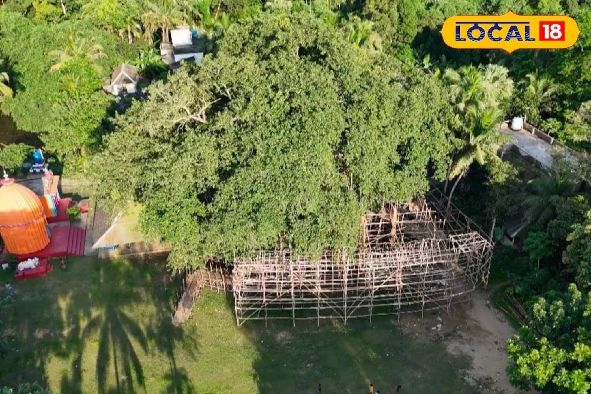 বাংলার বুকে একটুকরো আমাজন! গা ছমছমে রহস্যময় জঙ্গল, দেখা যাবে...! জেলার পুজোয় বড় চমক