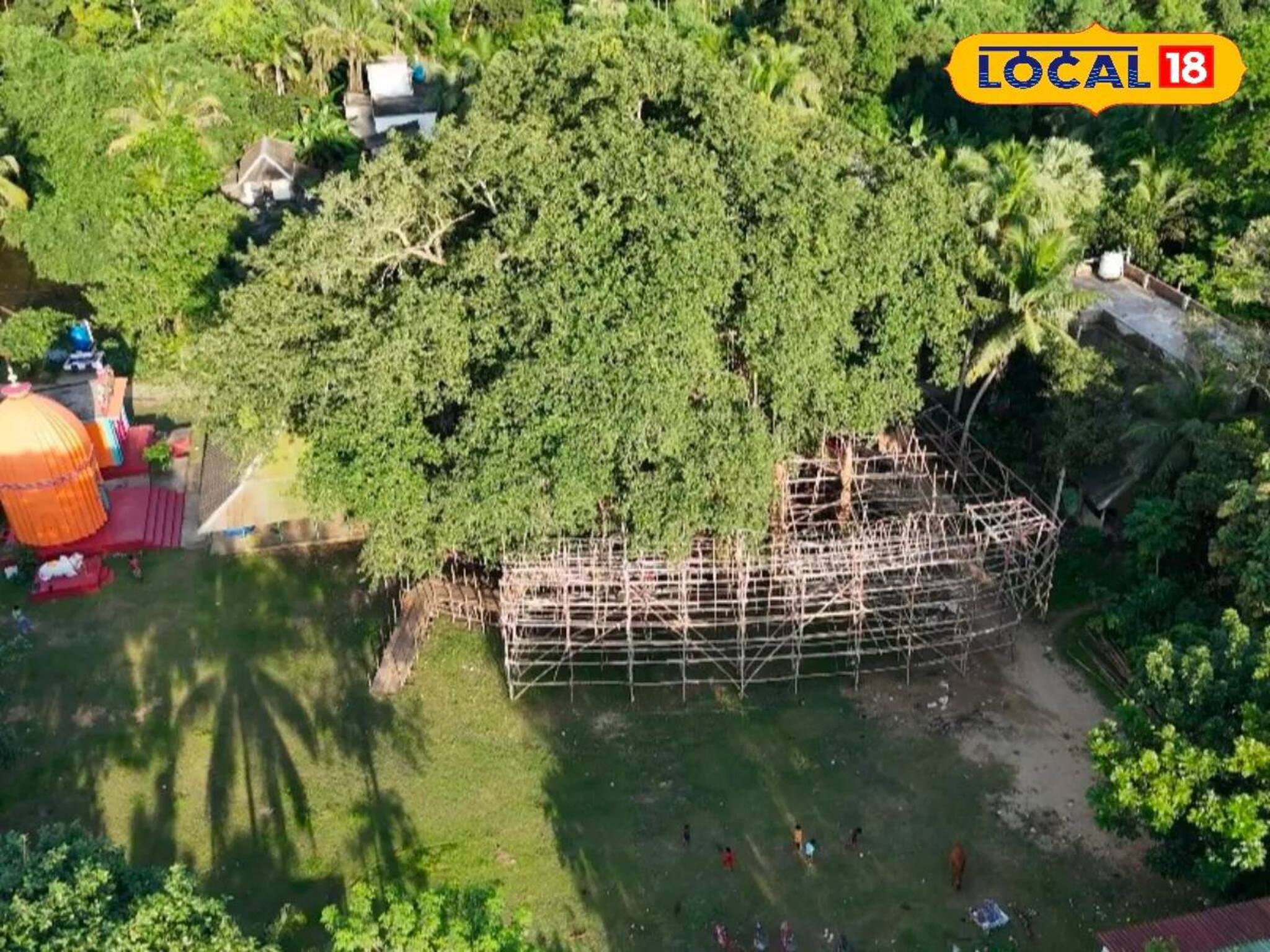 বাংলার বুকে একটুকরো আমাজন! গা ছমছমে রহস্যময় জঙ্গল, দেখা যাবে...! জেলার পুজোয় বড় চমক