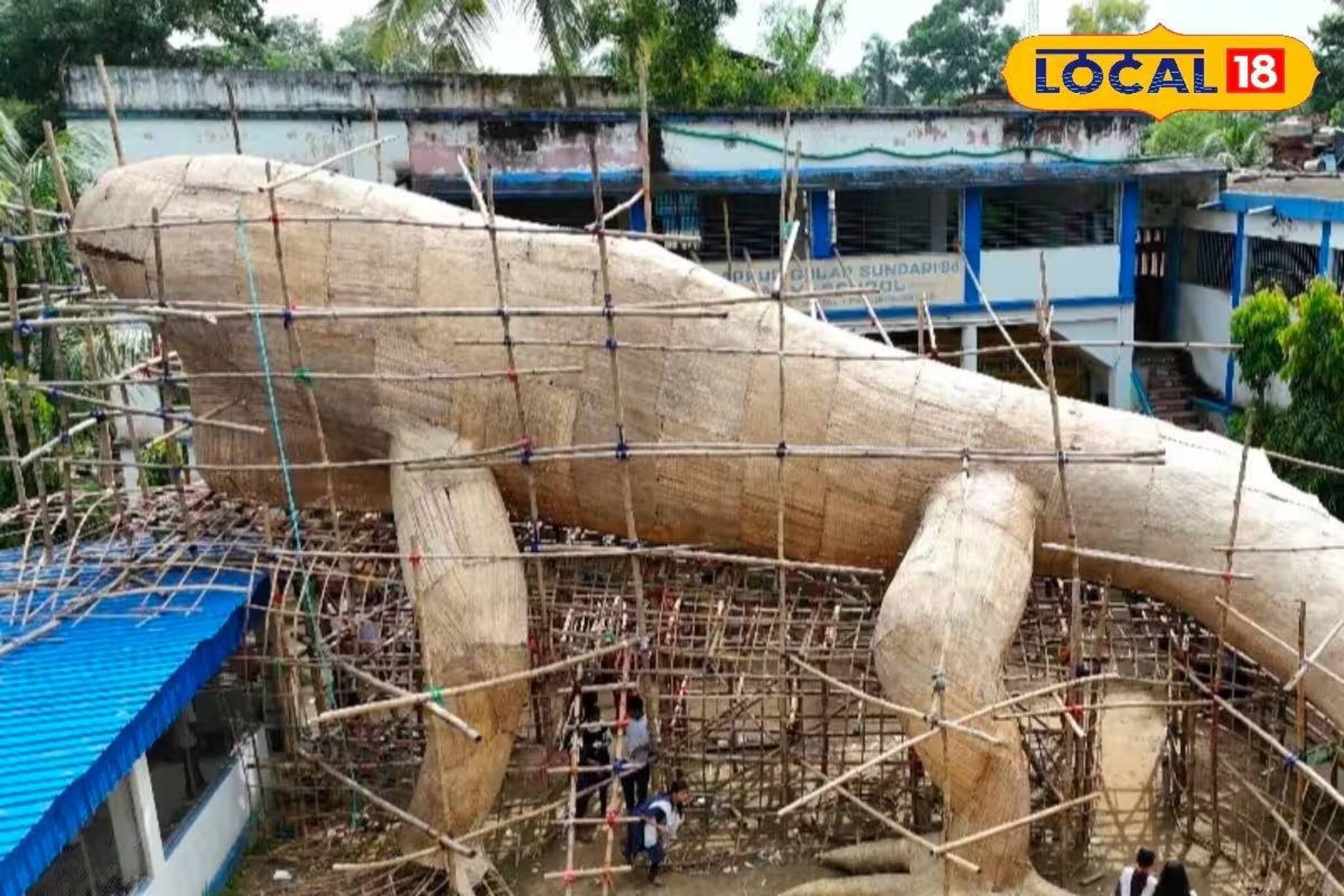 প্যান্ডেল নাকি দৈত্যাকার গিরগিটি! মেদিনীপুরের পুজোয় বড় চমক, কোথায় গেলে দেখা যাবে এই মণ্ডপ?
