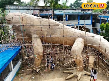 গিরগিটির