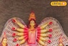মা দুর্গার পাখি রূপ! পরিবেশকে বাঁচানোর বার্তা দিতে এসেছেন স্বয়ং দশভূজা!