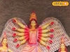 মা দুর্গার পাখি রূপ! পরিবেশকে বাঁচানোর বার্তা দিতে এসেছেন স্বয়ং দশভূজা!