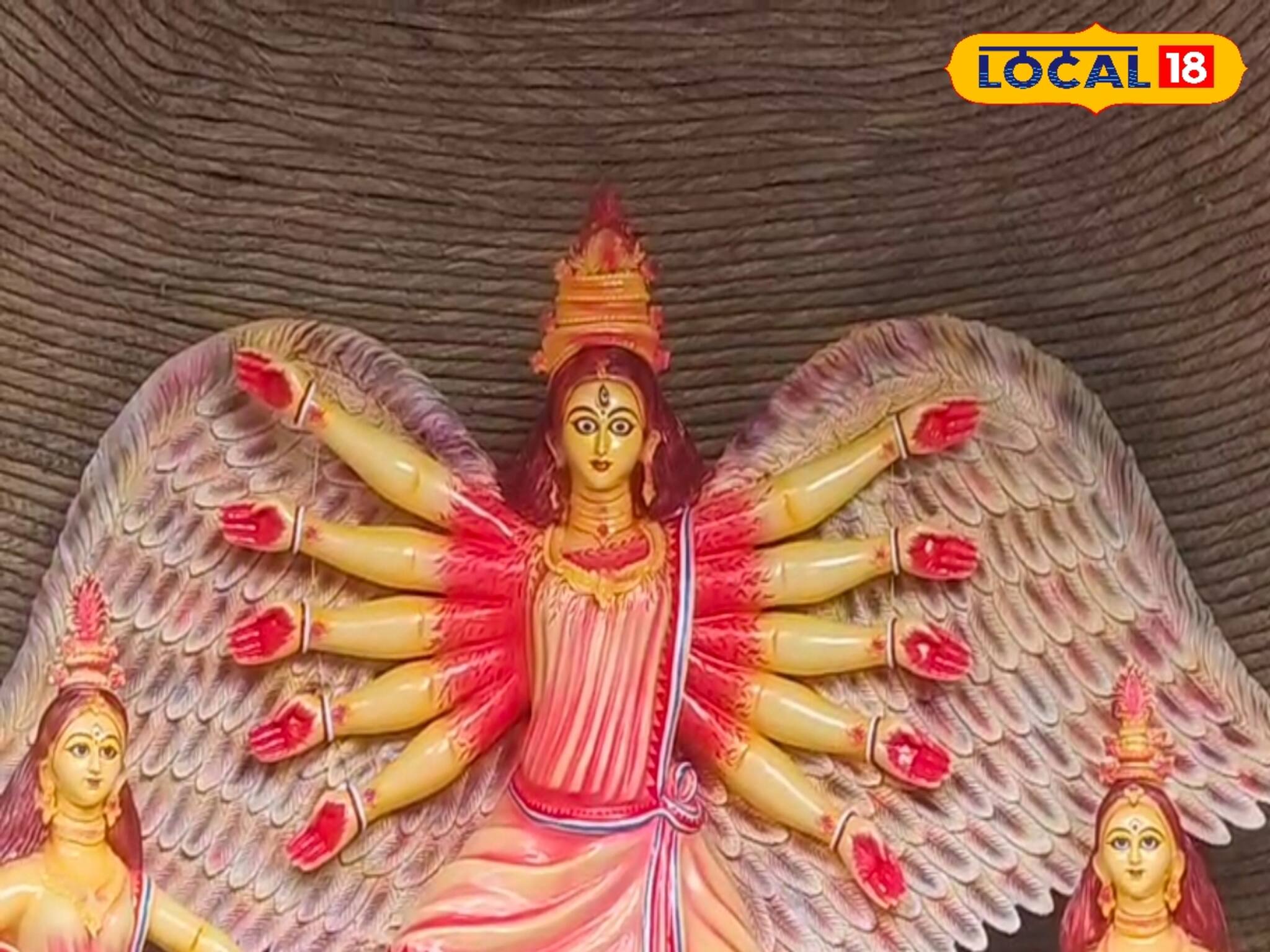 মা দুর্গার পাখি রূপ! পরিবেশকে বাঁচানোর বার্তা দিতে এসেছেন স্বয়ং দশভূজা!