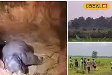 রাতের অন্ধকারে কুয়োয় পড়ল হস্তি শাবক! সুপারহিরো হয়ে এল JCB, তারপর...