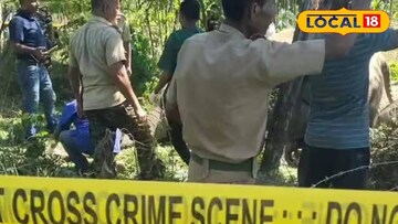 পূর্ণবয়স্ক