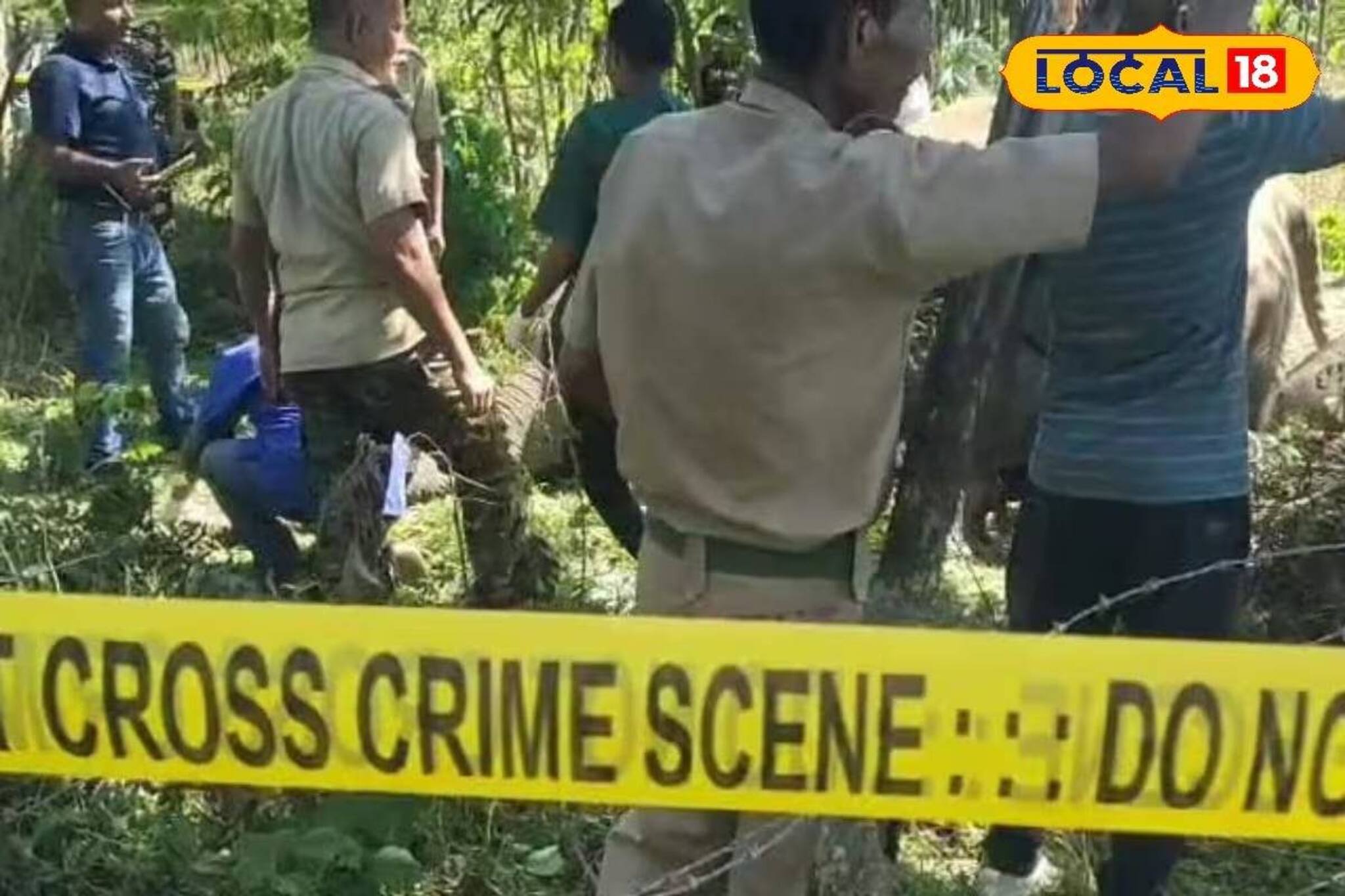 ইলেকট্রিক শক লেগে হাতির মৃত্যু, রাতের অন্ধকারে যা হয়েছিল...! মর্মান্তিক ঘটনা আলিপুরদুয়ারে