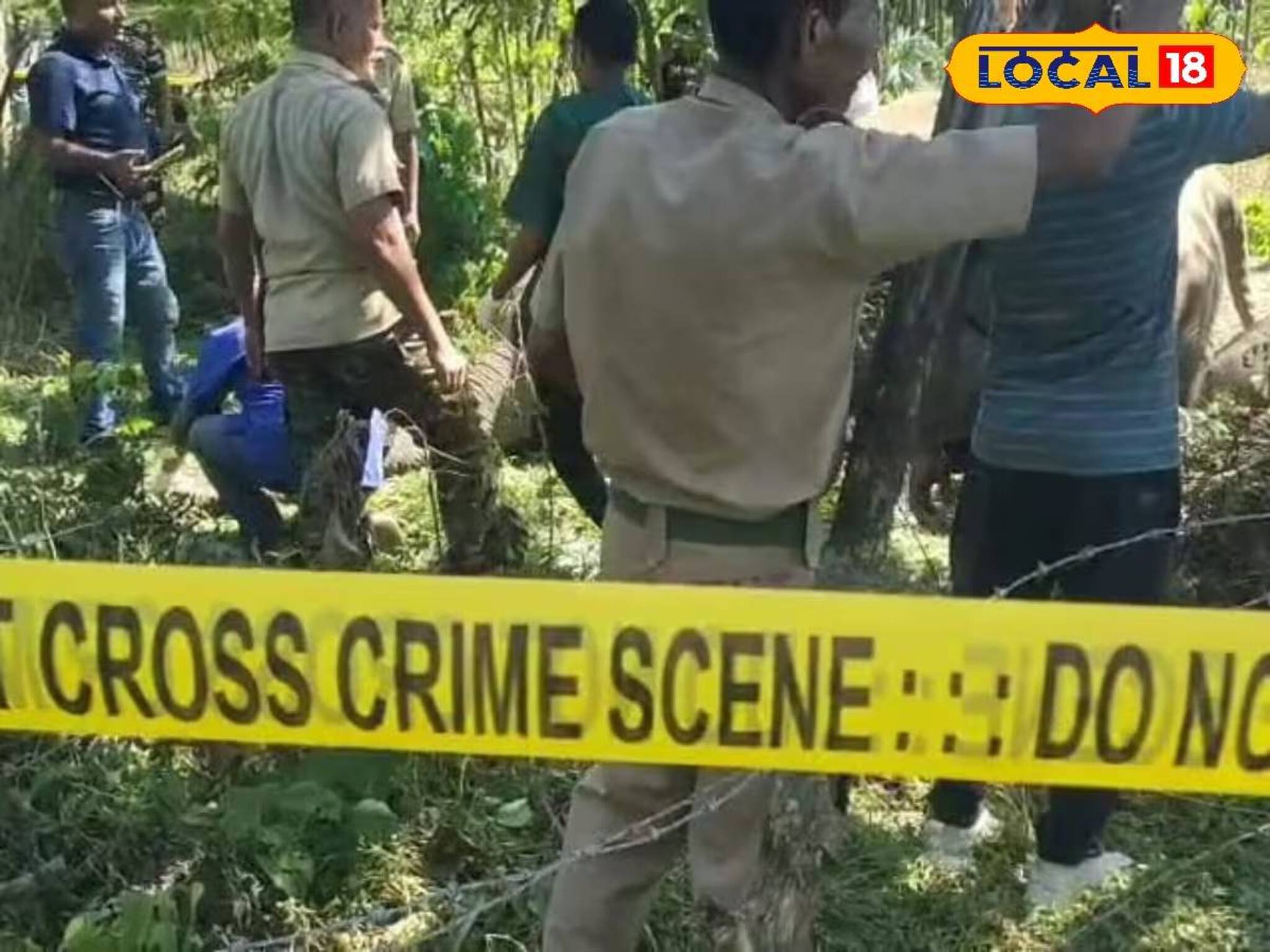 ইলেকট্রিক শক লেগে হাতির মৃত্যু, রাতের অন্ধকারে যা হয়েছিল...! মর্মান্তিক ঘটনা আলিপুরদুয়ারে