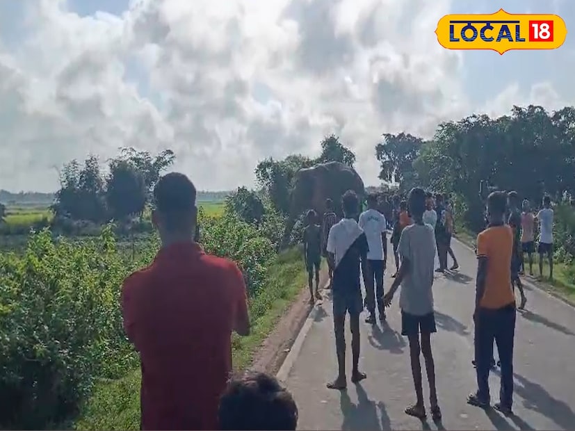 ৫ নম্বর রাজ্য সড়কের উপর হাতি চলে আসার খবর পৌঁছায় বনদফতরের কাছে। খবর পাওয়া মাত্রই ঘটনাস্থলে পৌঁছয় বনদফতরের কর্মীরা। হাতিকে রুটি খাইয়ে জঙ্গলে ফেরানো হয়। এরপরেই মাইক নিয়ে বনদফতরের তরফে চালানো হয় প্রচার। 