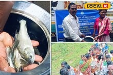 হাঁসের ছানার পর এবার মাছের চারা! কৃষকদের বিকল্প রোজগারের পথ দেখাচ্ছে কৃষি বিভাগ