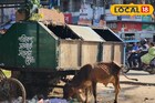 শহরজুড়ে ডাস্টবিন থাকলেও রাস্তায় আবর্জনা! কড়া পদক্ষেপের হুঁশিয়ারি 'এই' পুরসভার