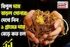 বিপুল দাম বাড়ল সোনার ! দেখে নিন ১ গ্রামের দাম বেড়ে কত হল