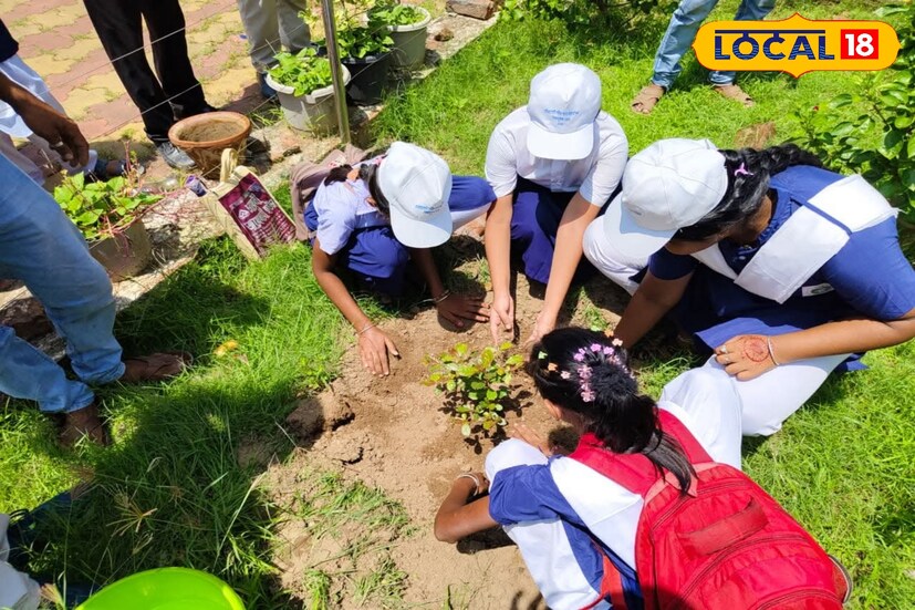 পর্যটকদের জন্য বড় চমক হলো ভেষজ উদ্যান। এখানে রয়েছে নানা ঔষধি গাছপালা যা সাধারণ মানুষকে প্রকৃতির চিকিৎসা সম্পর্কে সচেতন করবে। যারা দিঘায় বেড়াতে আসেন, তারা এখন সহজেই বিভিন্ন ভেষজ উদ্ভিদের গুরুত্ব সম্পর্কে জানতে পারবেন। স্বাস্থ্য সচেতন পর্যটকদের কাছে এটি একটি ভিন্ন অভিজ্ঞতা হবে, কারণ ভেষজ উদ্যান শুধুমাত্র সৌন্দর্য নয়, স্বাস্থ্য সচেতনতারও প্রতীক।