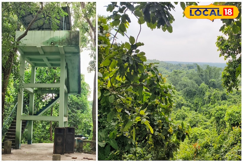 সবুজ জঙ্গলের মাঝে অবস্থিত মন্দির চত্বর প্রকৃতিক সৌন্দর্যে পরিপূর্ণ। মন্দির চত্বরে রয়েছে একটি ওয়াচ-টাওয়ার। ওই ওয়াচ-টাওয়ারে চড়লে দেখতে পাবেন ঘন জঙ্গলের একটি ওভারভিউ।যা সত্যিই মনমুগ্ধকর। মন্দিরের সেবায়েতের সাথে আগাম যোগাযোগ করলে শ্যামরুপা মায়ের ভোগও পাবেন আপনি।(ছবি ও তথ্য : দীপিকা সরকার) 