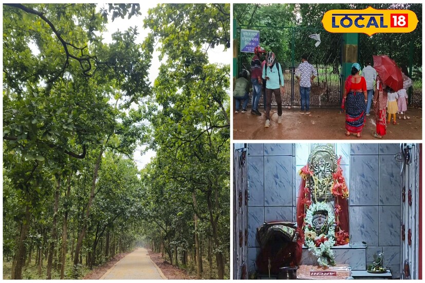 শ্যামরুপা মন্দিরের সেবায়েত সন্তোষ রায় জানান,শহরের কোলাহল ছেড়ে এখন বহু মানুষ ঘন দুর্ভেদ্য জঙ্গলের নিস্তব্ধতা ও প্রাকৃতিক অনুভূতি নিতে আসেন গড় জঙ্গলে।সুরথ রাজার এই গড়ে সারা বছর পর্যটকদের আনাগোনা লেগেই থাকে। কলকাতা দিল্লী আসাম থেকেও অনেক ভক্ত শ্যামরুপা মন্দিরে পুজো দেওয়ার পাশাপাশি ঘুরতে আসেন। দেউলে থাকা - খাওয়ারও বন্দোবস্ত আছে। ( ছবি ও তথ্য : দীপিকা সরকার) 