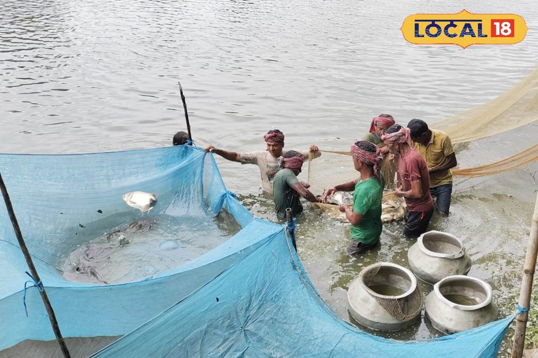 Profit Making Business: ফসলি জমি কেটে ফেলে পুকুর করে বিকল্প চাষ! কি এমন চাষ করছেন মালদহের চাষিরা?