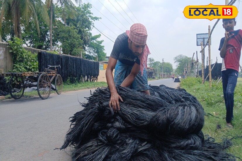 প্রতিমা'র চুল তৈরি'র গ্রাম হিসাবে পরিচিতি পেয়েছে হাওড়া বড়গাছিয়া পার্বতীপুর গ্রাম। চুল তৈরির প্রধান উপকরণ বা কাঁচা মাল হল পাট। পাট এবং পাট কাঠি আমদানি হয় পার্শ্ববর্তী জেলা হুগলি থেকে। পাট রঙ করে চুল তৈরি হয়। অন্যদিকে চুল কোঁকড়ানো করতে পাটকাঠিতে পাকিয়ে রাখতে পাটকাঠি ব্যবহার হয়। পুজোর আগে তুমি ব্যস্ততা চুল তৈরির কাজে। (ছবি ও তথ্য: রাকেশ মাইতি)