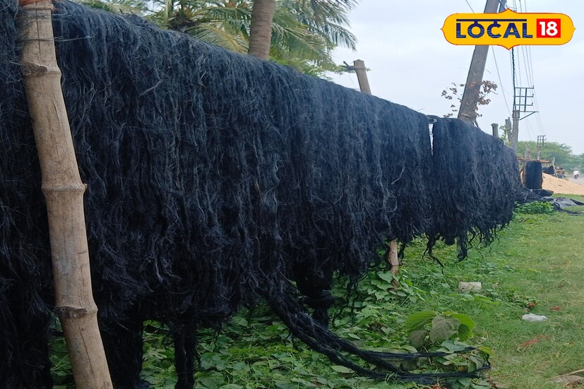 হাওড়া'র বড়গাছিয়ার পার্বতীপুর গ্রাম প্রতিমার চুল তৈরির জন্য বিখ্যাত হাওড়ার পার্বতীপুর গ্রাম! এই গ্রামে প্রায় ৪০-৫০ টি পরিবার প্রতিমার চুল তৈরি পেশার সঙ্গে যুক্ত। হাওড়ার এই গ্রাম থেকে কলকাতার কুমোরটুলি সহ দেশের বিভিন্ন প্রান্তে পৌঁছে যাচ্ছে প্রতিমার চুল। (ছবি ও তথ্য: রাকেশ মাইতি)
