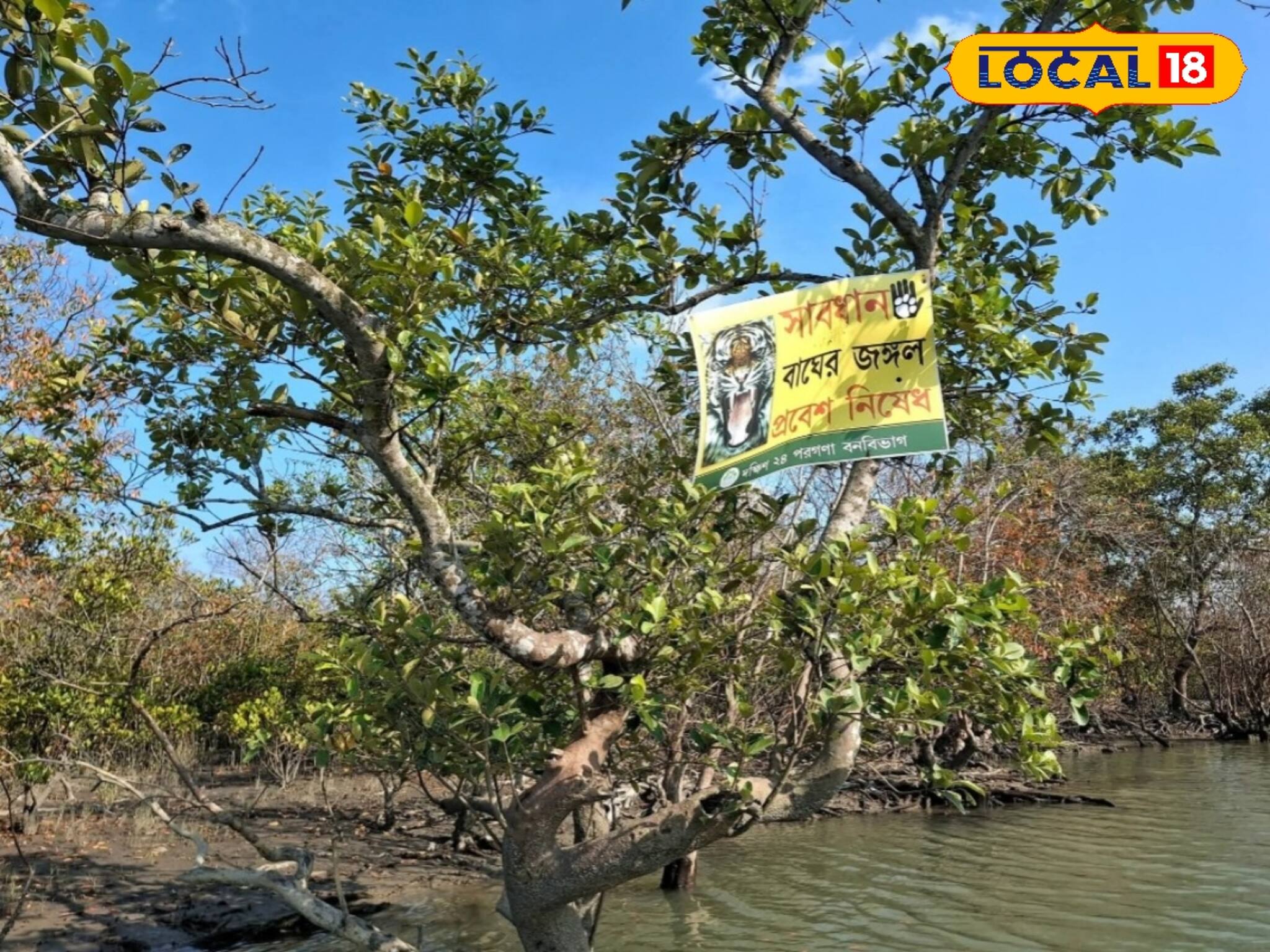 নাইলন ফেন্সিংয়ে আটকেও আটকাচ্ছে না! শেষে সুন্দরবনে বসল এই বোর্ড