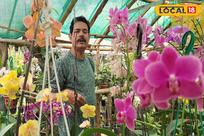 অর্কিডের পাশাপাশি কিছু ফলিয়েজ কিছু অ্যান্থোরিয়াম এর গাছ রয়েছে। মূলত নির্দিষ্ট কিছু গাছ লাগানোর ভাবনা নিয়ে তার অর্কিডের গাছের সংখ্যা বৃদ্ধি করা।অত্যন্ত সুদৃশ্য এই অর্কিড। বিভিন্ন মিষ্টি রংবেরঙের এই ফুল থাকে বছরের পর বছর। গোটা বাগান প্রায় তিন থেকে চার মাস ভরে থাকে ফুলে। প্রসঙ্গত প্রত্যন্ত গ্রামাঞ্চলে নয় শহরকেন্দ্রিক এলাকায় চাহিদা রয়েছে অর্কিডের এমনকি বৈদেশিক রফতানিতেও এর চাহিদা বেশ। (তথ্য ও ছবি: রঞ্জন চন্দ)