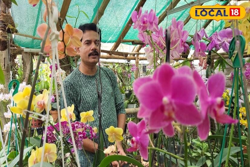 পশ্চিম মেদিনীপুরের কেশিয়াড়ির বেসরকারি কলেজ পরিচালক দীপক দাস। নিজের বাড়িতে বিজ্ঞানসম্মত উপায়ে লাগিয়েছেন অর্কিড। নিজের শখের বশেই তার এই অর্কিডের গাছ লাগানো। গুগল, ইন্টারনেট, বিভিন্ন সামাজিক মাধ্যম দেখে তার এই গাছের পরিচর্যা করা। নিজের কাজের পাশাপাশি চলে তার এই অর্কিড এর দেখভাল। এর মধ্যেই খুঁজে পান মানসিক শান্তি। (তথ্য ও ছবি: রঞ্জন চন্দ)