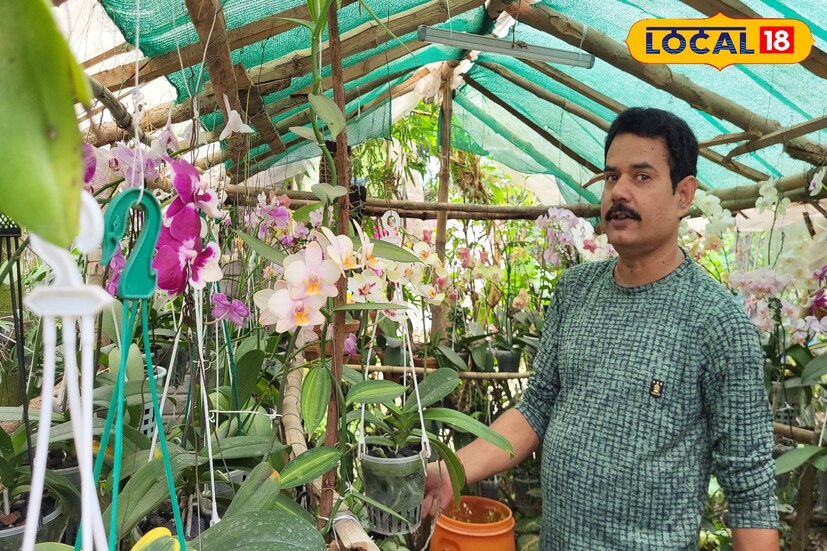 বৈদেশিক ক্ষেত্রে এর বিশেষ বাজার রয়েছে। বাজারে রয়েছে মানুষের চাহিদা। স্বাভাবিকভাবে পেশাগতভাবে ব্যবসায়িক ক্ষেত্রে লাগানো যায় অর্কিড। বর্তমানে ব্যবসার কথা না ভাবলেও আগামীতে পরিকল্পনা রয়েছে তার। তবে আগামী যুব প্রজন্মকে দিচ্ছেন অর্কিড চাষ করে স্বনির্ভর হওয়ার বার্তা। প্রয়োজনে তিনি প্রশিক্ষণ দিতে চান যুব প্রজন্মকে। স্বাভাবিকভাবে অন্যান্য কাজের পর দীপক বাবু এই উদ্যোগকে সাধুবাদ জানিয়েছেন সকলে। (তথ্য ও ছবি: রঞ্জন চন্দ)