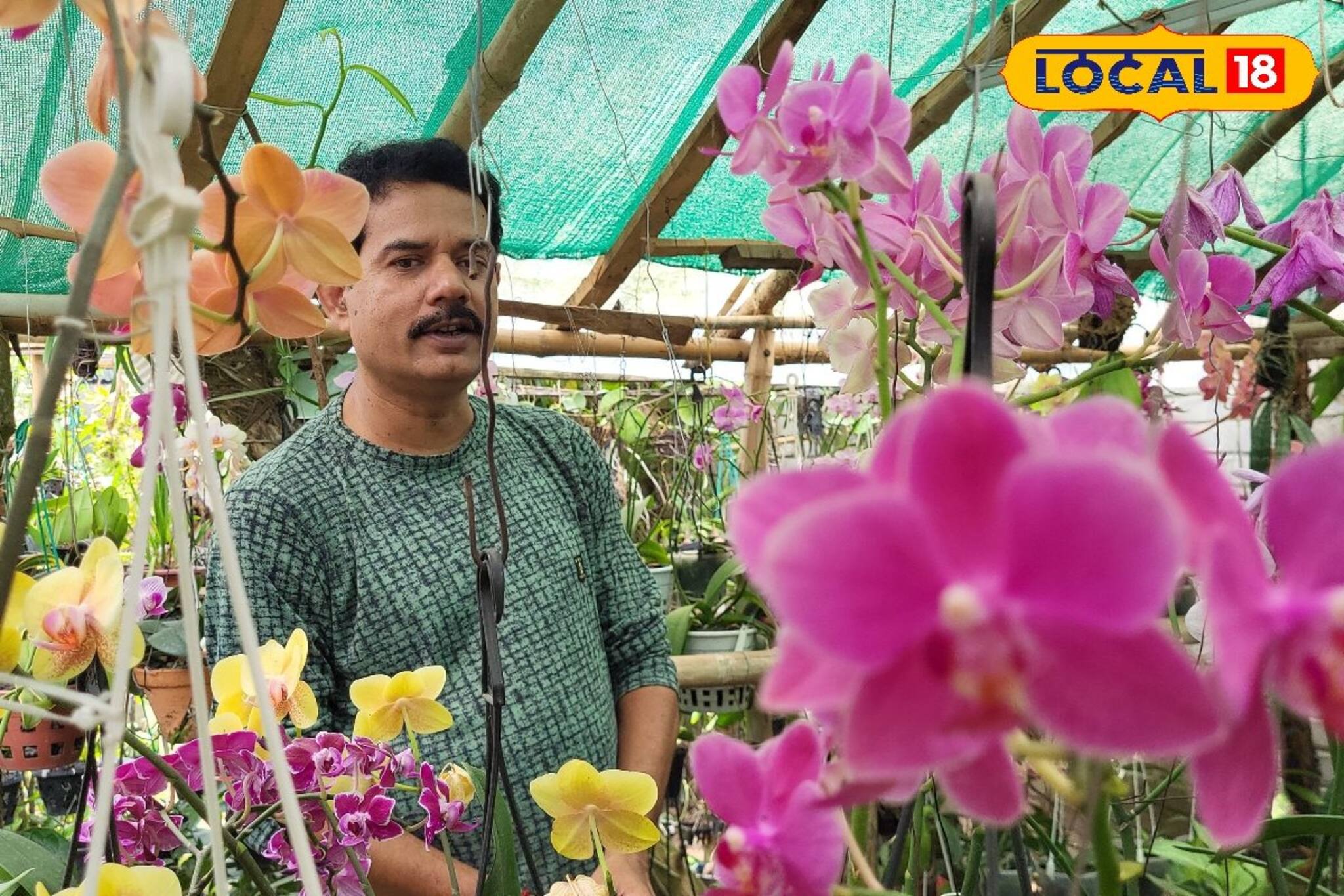 বাড়ির উঠোনে লাখ টাকার গাছ, দেশ বিদেশে যার ফুলের চাহিদা তুমুল !