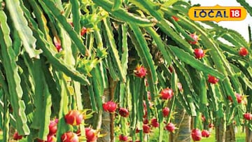 প্রতিকী