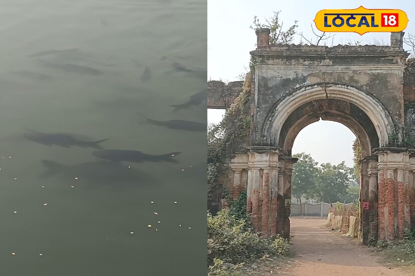 *এক সময় নাকি এখানে সোনার নথ পড়া মাছের দেখা মিলত। তবে এখানে মাছ নাকি কেউ ছাড়েনি, কেউ ধরেও না। লোকমুখে নানা গল্প শোনা যায়— কোনও এক সময় কেউ এক জন মাছ ধরতে গিয়েছিল। তার পর মুখে রক্ত উঠে মারা যায় সে। তবে পর্যটকদের দেওয়া বিস্কুট ও মুড়ি খেয়ে তারা রীতিমতো নধর হয়েছে।