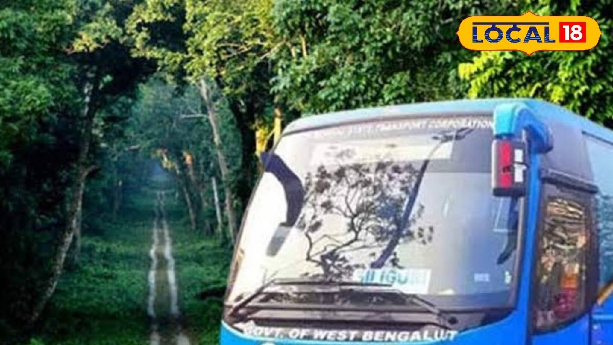 North Bengal Budget Trip: গল্প নয় সত্যি...! মাত্র ২৫০০ টাকায় গ্যাংটক, দার্জিলিং, কালিম্পং, লাভা, লাটাগুড়ি! পুজোয় NBSTC-র দুর্দান্ত ট্যুর প্যাকেজ