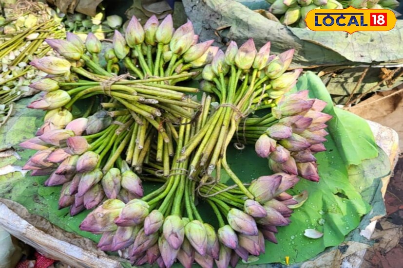 সন্ধিপুজায় ১০৮টি লালপদ্ম দেবীকে আহ্বান করতে হয়। আর ১০৮টি প্রদীপ জ্বেলে অন্ধকার মুছে জ্যোতি প্রাপ্তির প্রার্থনা করা হয়। দীপ শিখা হৃদয়কে উদ্ভাসিত করে। ১০৮ প্রদীপের আলো অজ্ঞতা ও অশুদ্ধতারও বিনাশক।