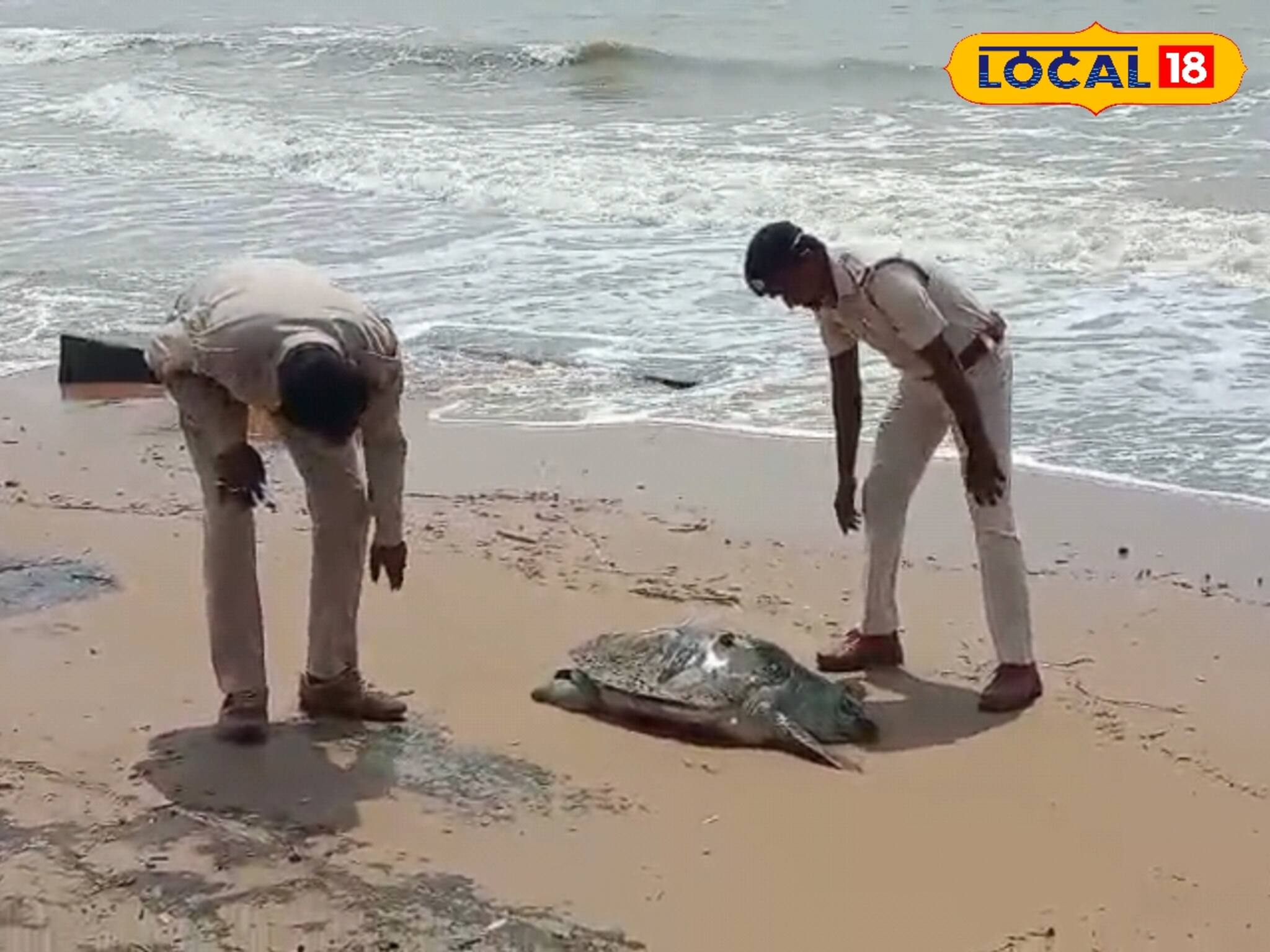 দিঘার সৈকতে ভেসে উঠল ওটা কী? ঠিক যেন 'দৈত্য'... হাড়হিম পর্যটকদের