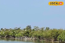 কলকাতার একেবারেই কাছে এই সমুদ্রতট! সঙ্গীর সঙ্গে নির্জন দ্বীপে সময় কাটাতে ঘুরে আসুন