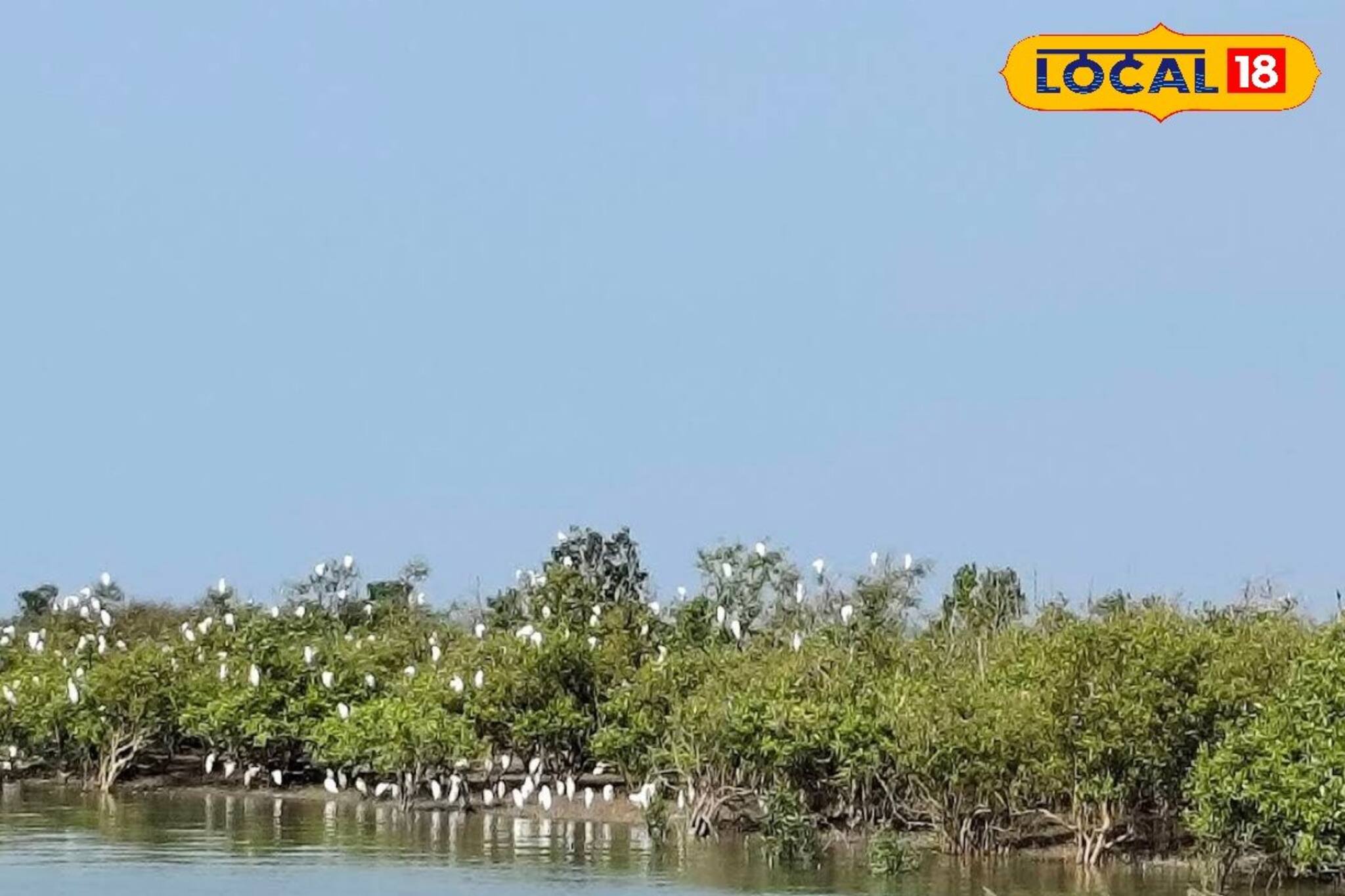 কলকাতার একেবারেই কাছে এই সমুদ্রতট! সঙ্গীর সঙ্গে নির্জন দ্বীপে সময় কাটাতে ঘুরে আসুন