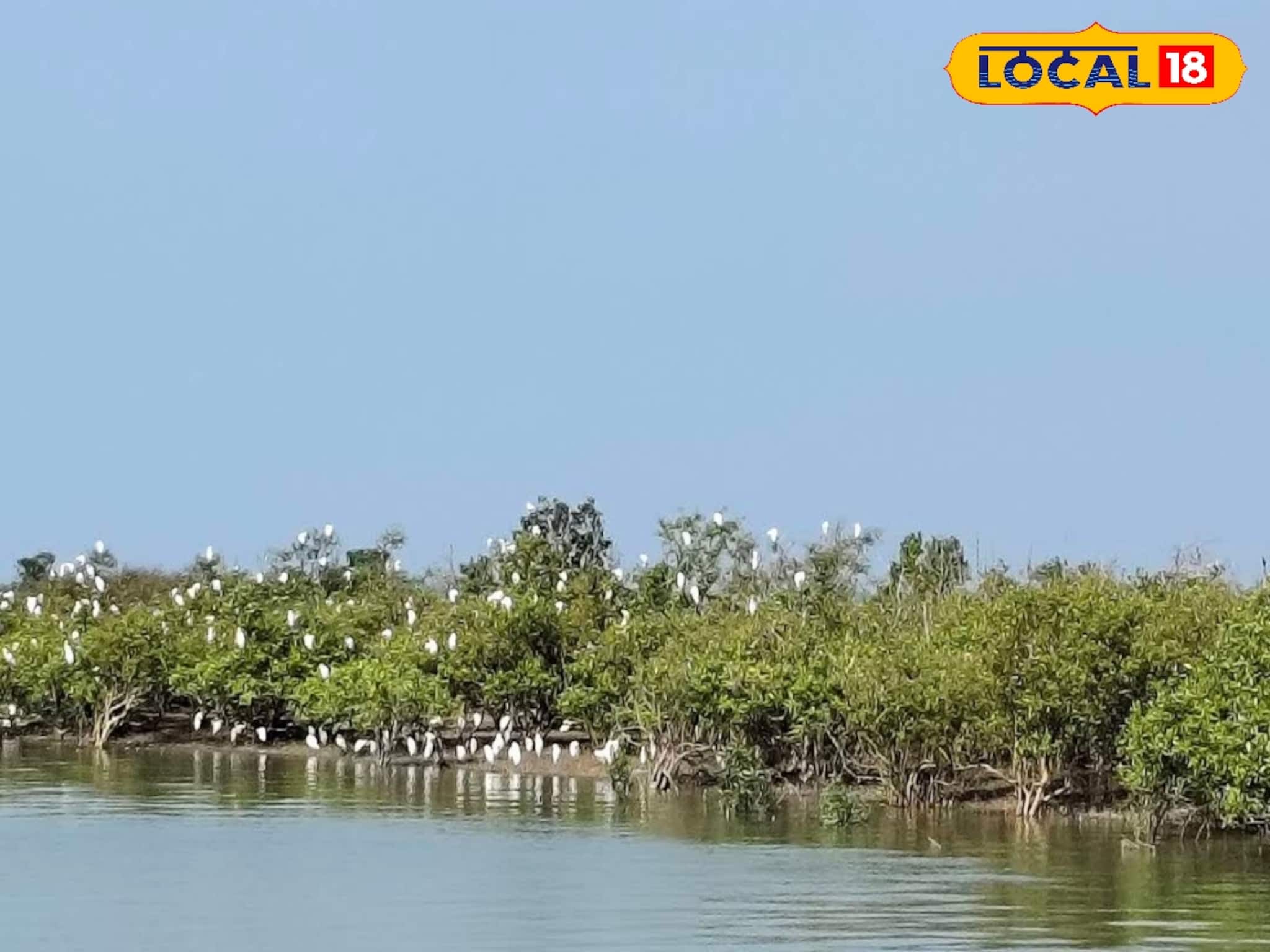Weekend Trip: কলকাতার একেবারেই কাছে এই সমুদ্রতট! সঙ্গীর সঙ্গে নির্জন দ্বীপে সময় কাটাতে ঘুরে আসুন