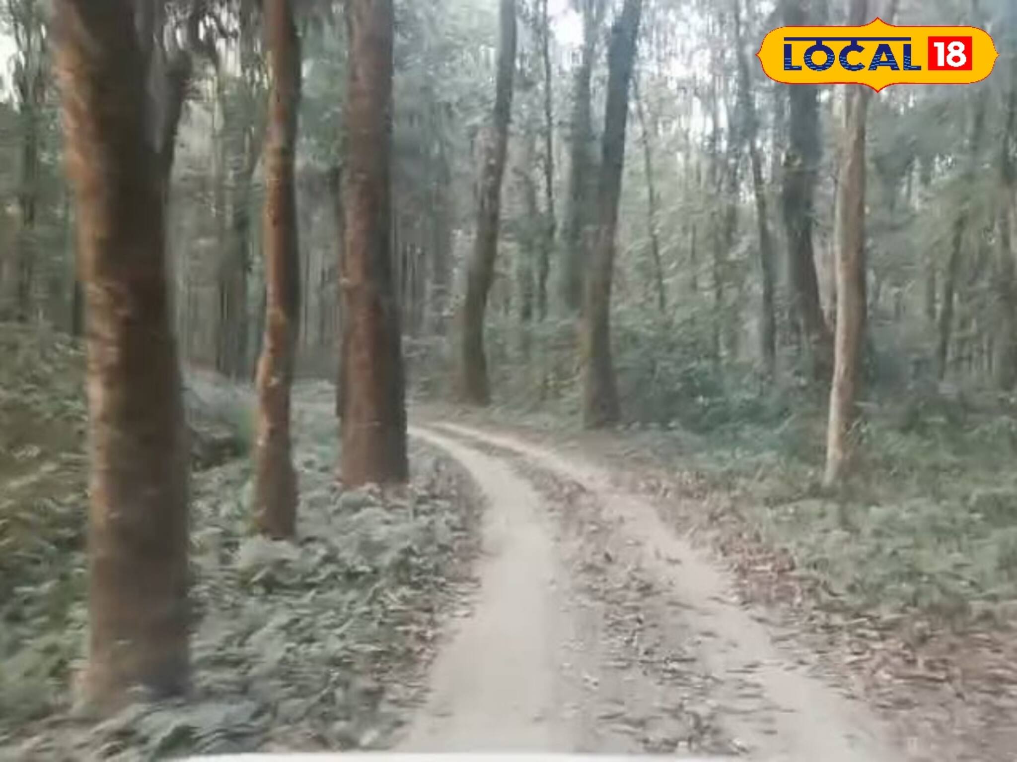Dooars Tourism: জঙ্গল খুলতেই বাড়ছে পর্যটকের সংখ্যা, সাফারি নিয়ে ক্ষোভে ফুটছে পর্যটন ব‍্যবসায়ীরা, কারণ জানুন আপনিও