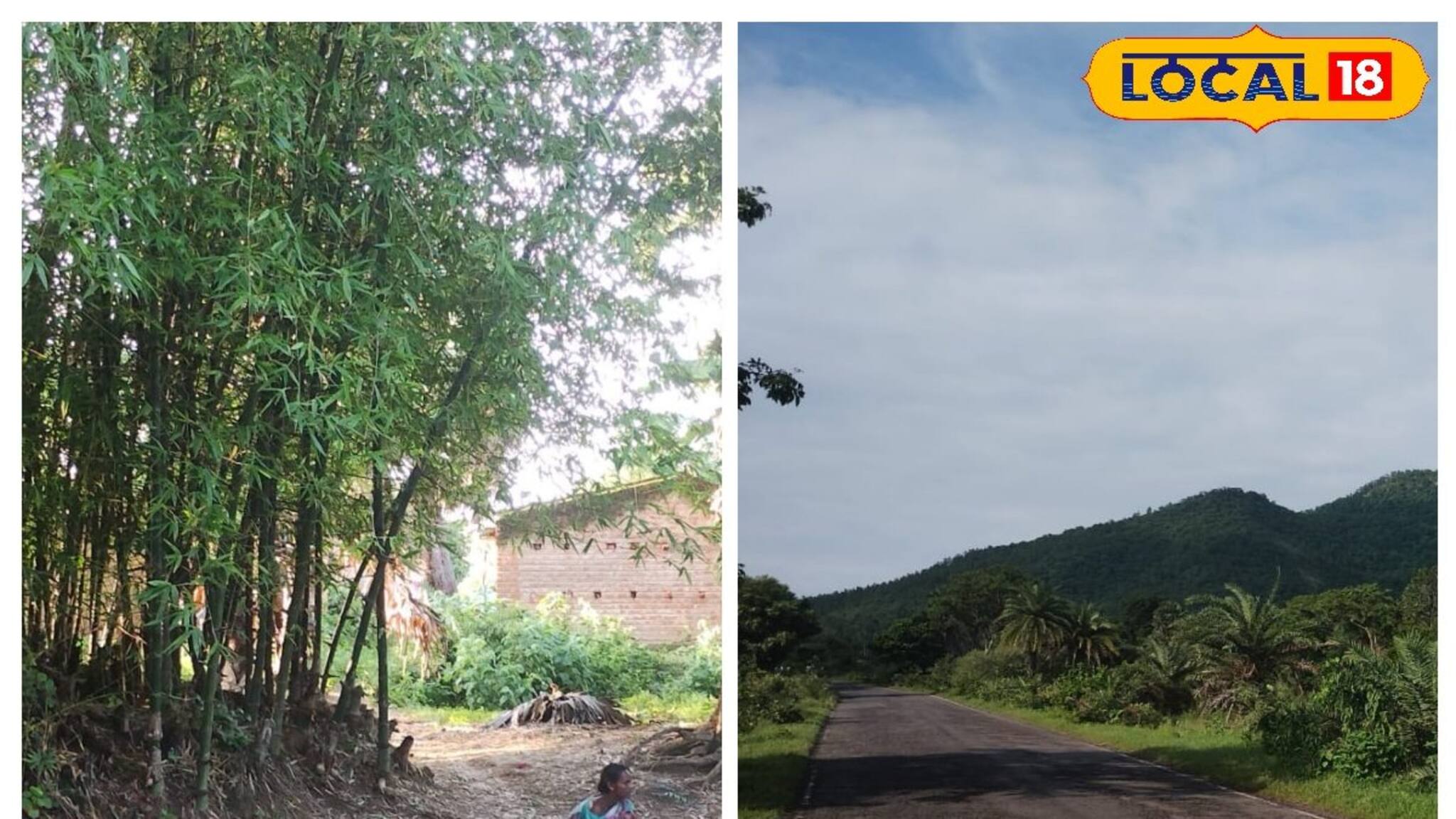 বাঁশ নিয়েই 'এদের' কাটে জীবন, বাঁকুড়ার এই গ্রামের জীবিকা জানলে অবাক হবেন..!