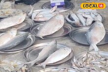 বিরাট সুখবর! জলের দরে সস্তা ইলিশ, থালায় সাজিয়ে বিক্রি হচ্ছে ইলিশ, দাম শুনলে আপনিও ছুটবেন