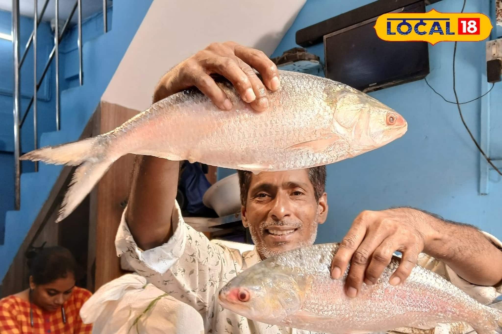 Hilsa Fish: বাজারে রূপালি শস্যের বন্যা! বাংলাদেশি বলে অন্য ইলিশ কিনে ঠকবেন না, সেরা 'টেস্টি' ইলিশ চিনবেন কীভাবে? জেনে নিন