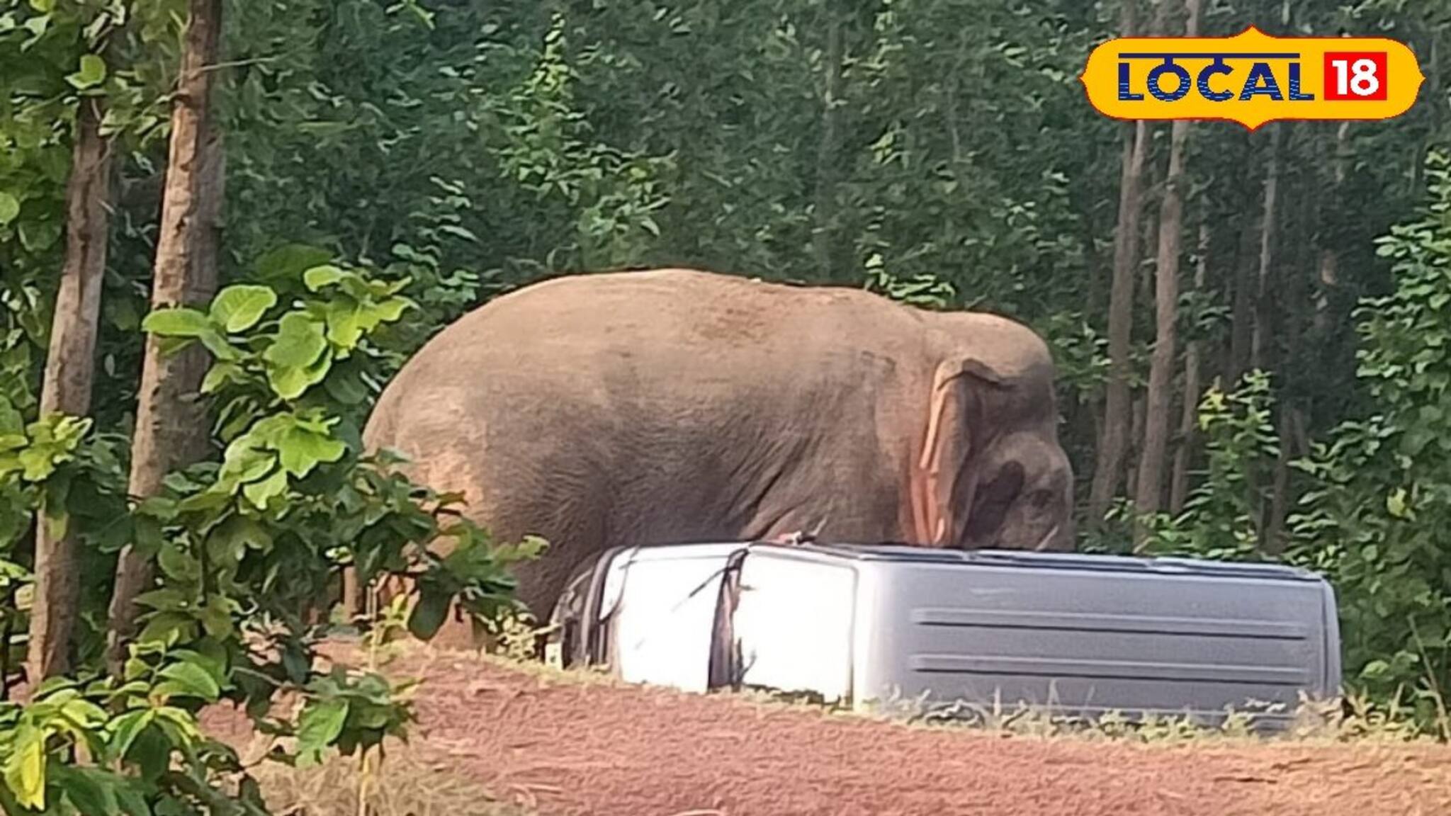 সাত সকালে থমকে গেল সবাই! রামলালের রাগের সামনে রেহাই পেল না গাড়িও! জঙ্গলমহলে তাণ্ডবের ভিডিও