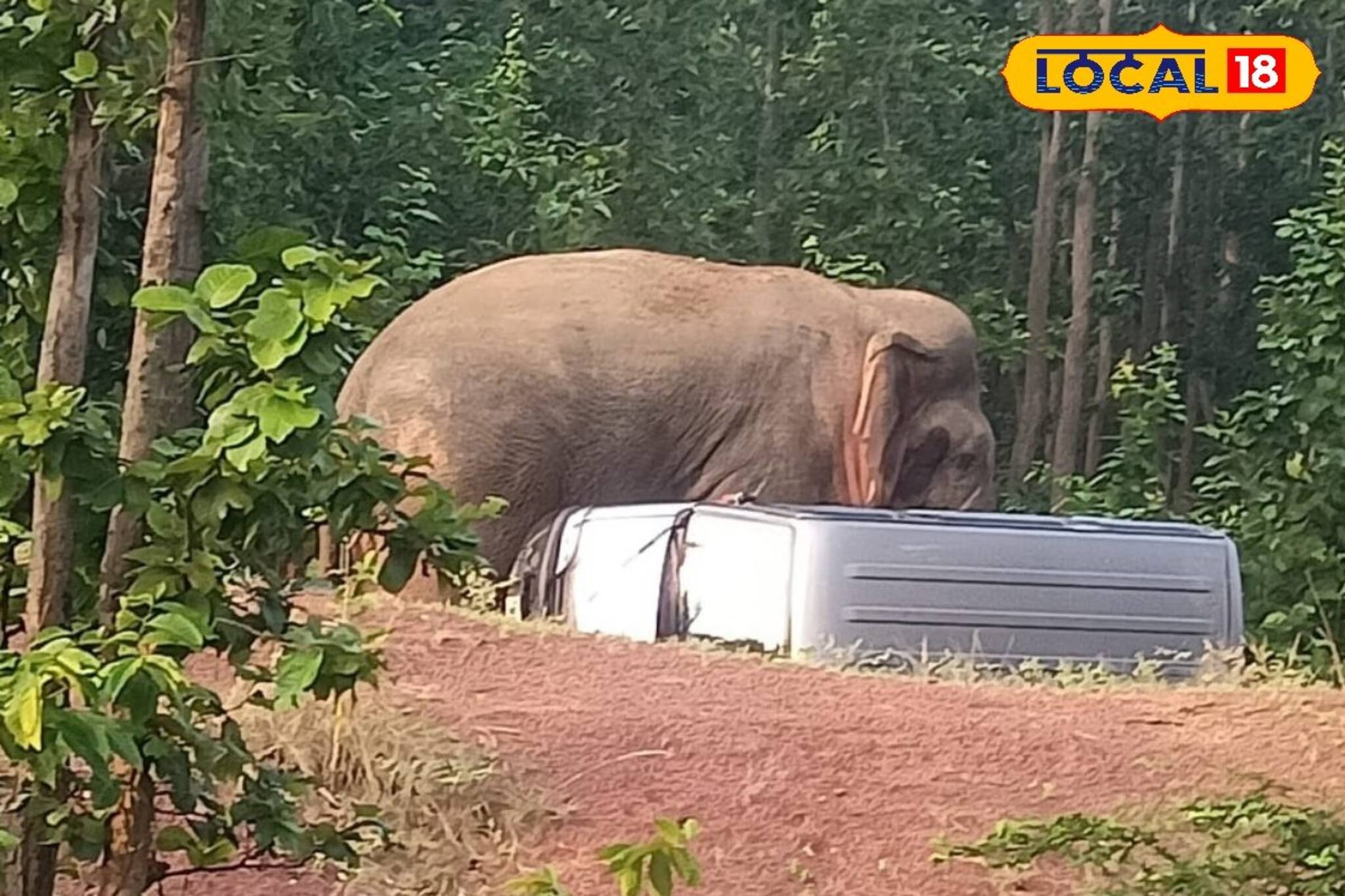 সাত সকালে থমকে গেল সবাই! রামলালের রাগের সামনে রেহাই পেল না গাড়িও! জঙ্গলমহলে তাণ্ডবের ভিডিও