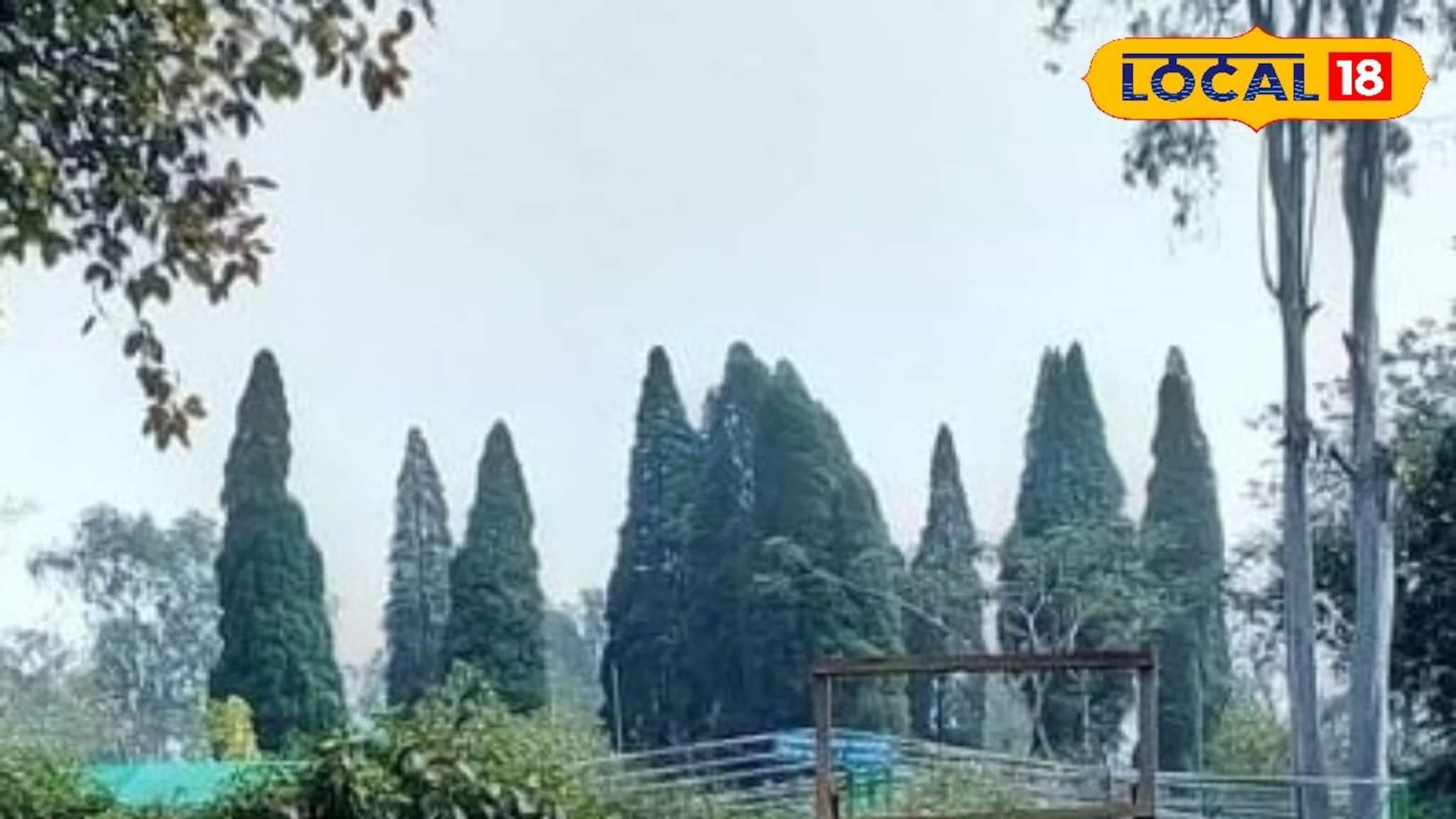 Jhargram: জঙ্গলমহলে কংসাবতী ক্যানেলের নিকটে বিভিন্ন ভেষজ উদ্ভিদের সমাহার গড়ে উঠেছে ভেষজ উদ্যান