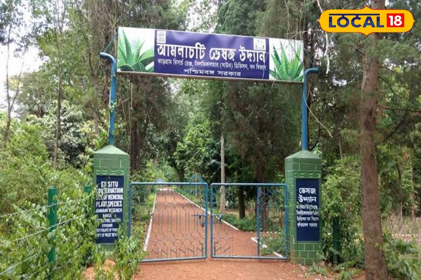 *ঝাড়গ্রাম, তন্ময় নন্দী: জঙ্গলমহলের একটি অরন্যে রয়েছে প্রায় ৭০০ প্রজাতির ভেষজ উদ্ভিদ। জানা ছিল না তো? পশ্চিমবঙ্গ সরকারের বন দফতরের অরণ্য পালন বিভাগের উদ্যোগে এই ভেষজ উদ্যান গড়ে তোলা হয়েছে।