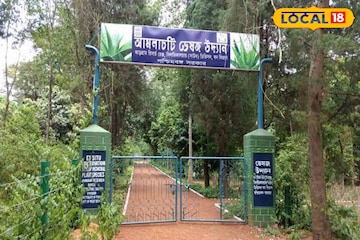 জঙ্গলমহলে কংসাবতী ক্যানেলের নিকটে বিভিন্ন ভেষজ উদ্ভিদের সমাহার গড়ে উঠেছে ভেষজ উদ্যান জঙ্গলমহলে কংসাবতী ক্যানেলের নিকটে বিভিন্ন ভেষজ উদ্ভিদের সমাহার গড়ে উঠেছে ভেষজ উদ্যান